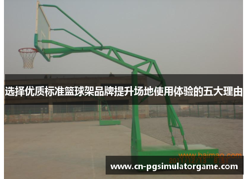 选择优质标准篮球架品牌提升场地使用体验的五大理由