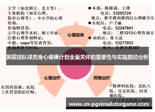 英超球队球员身心健康计划全面关怀的重要性与实施路径分析