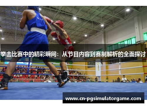 拳击比赛中的精彩瞬间：从节目内容到赛制解析的全面探讨