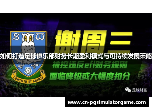 如何打造足球俱乐部财务长期盈利模式与可持续发展策略