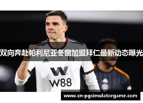 双向奔赴帕利尼亚冬窗加盟拜仁最新动态曝光