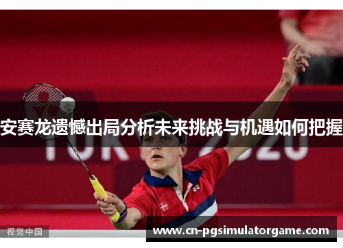 安赛龙遗憾出局分析未来挑战与机遇如何把握