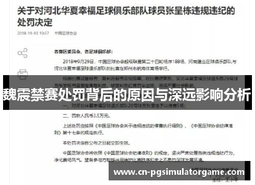 魏震禁赛处罚背后的原因与深远影响分析