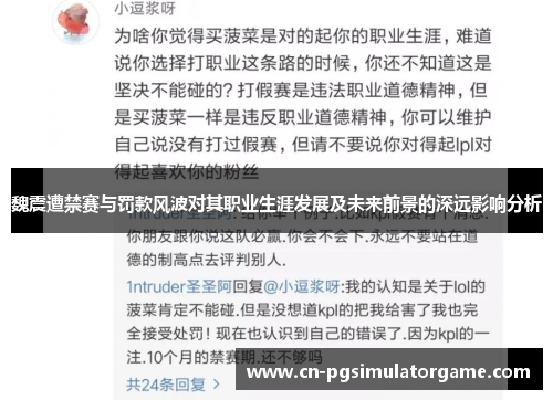 魏震遭禁赛与罚款风波对其职业生涯发展及未来前景的深远影响分析