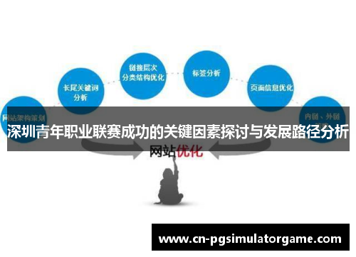 深圳青年职业联赛成功的关键因素探讨与发展路径分析