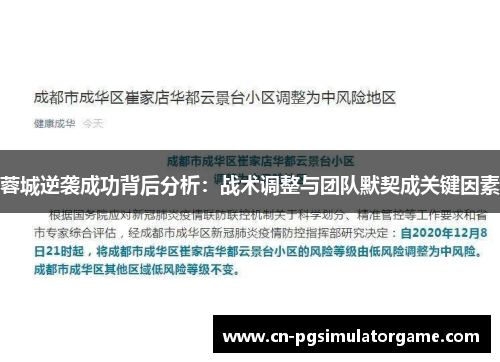 蓉城逆袭成功背后分析：战术调整与团队默契成关键因素