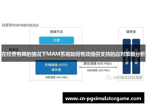 在经费有限的情况下MAM系统如何有效提供支持的应对策略分析