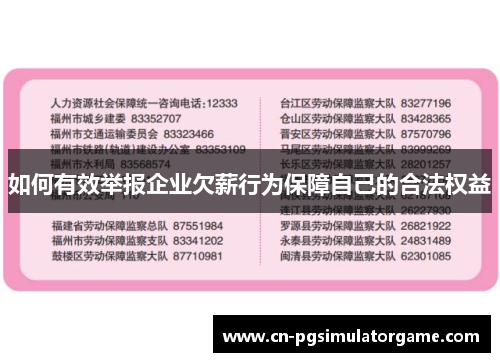 如何有效举报企业欠薪行为保障自己的合法权益
