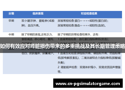 如何有效应对肾脏损伤带来的多重挑战及其长期管理策略