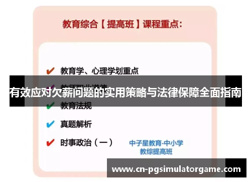 有效应对欠薪问题的实用策略与法律保障全面指南