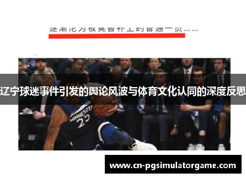辽宁球迷事件引发的舆论风波与体育文化认同的深度反思