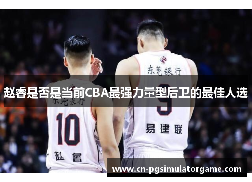 赵睿是否是当前CBA最强力量型后卫的最佳人选