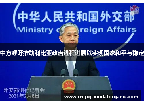 中方呼吁推动利比亚政治进程进展以实现国家和平与稳定