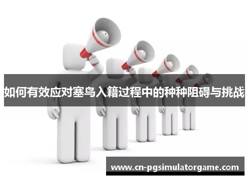如何有效应对塞鸟入籍过程中的种种阻碍与挑战