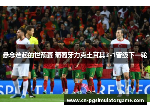 悬念迭起的世预赛 葡萄牙力克土耳其3-1晋级下一轮