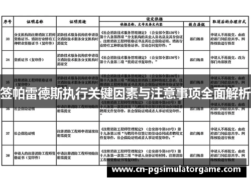 签帕雷德斯执行关键因素与注意事项全面解析