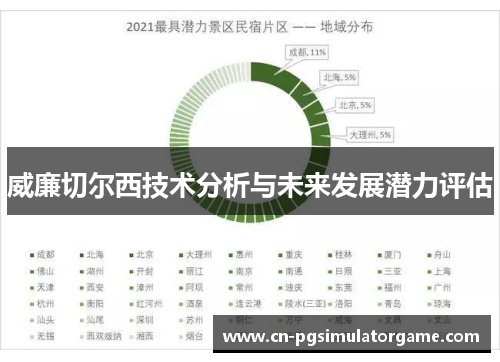 威廉切尔西技术分析与未来发展潜力评估