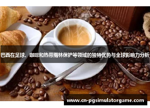 巴西在足球、咖啡和热带雨林保护等领域的独特优势与全球影响力分析