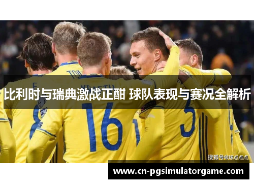 比利时与瑞典激战正酣 球队表现与赛况全解析