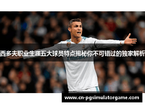 西多夫职业生涯五大球员特点揭秘你不可错过的独家解析